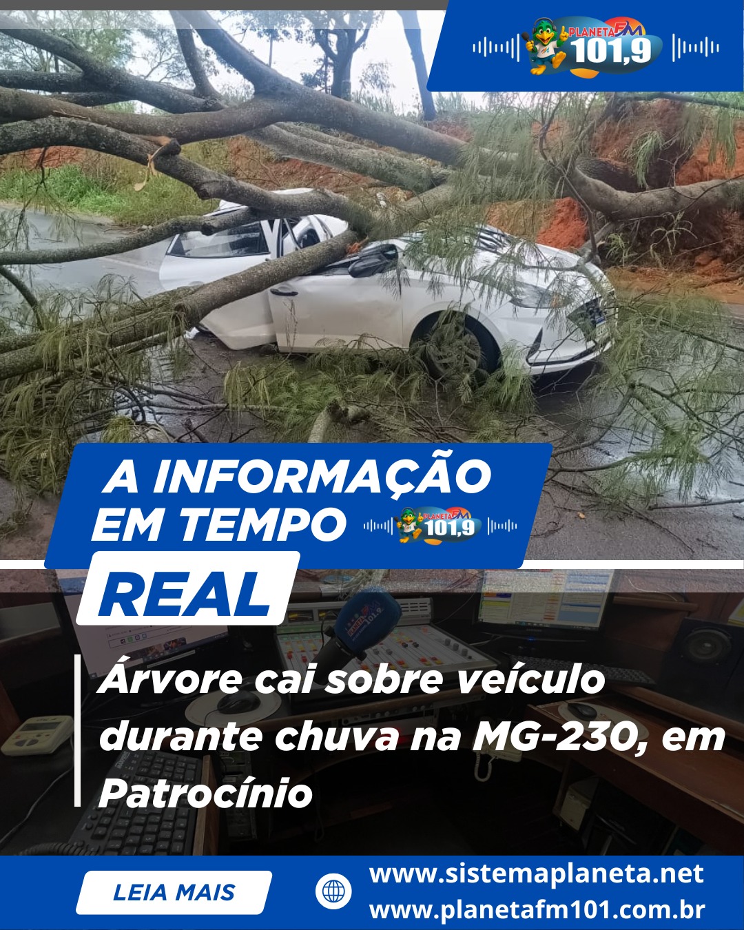 Árvore cai sobre veículo durante chuva na MG-230, em Patrocínio